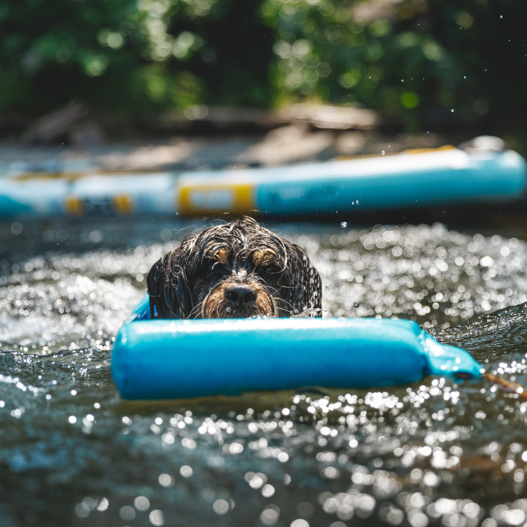 Ruffwear Lunker Juguete flotante