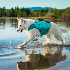 Non-stop Dogwear Protector Life Jacket