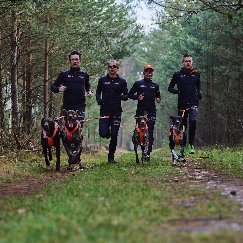 Non-Stop Dogwear CaniX Belt Pro