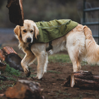 Ruffwear Overcoat Fuse