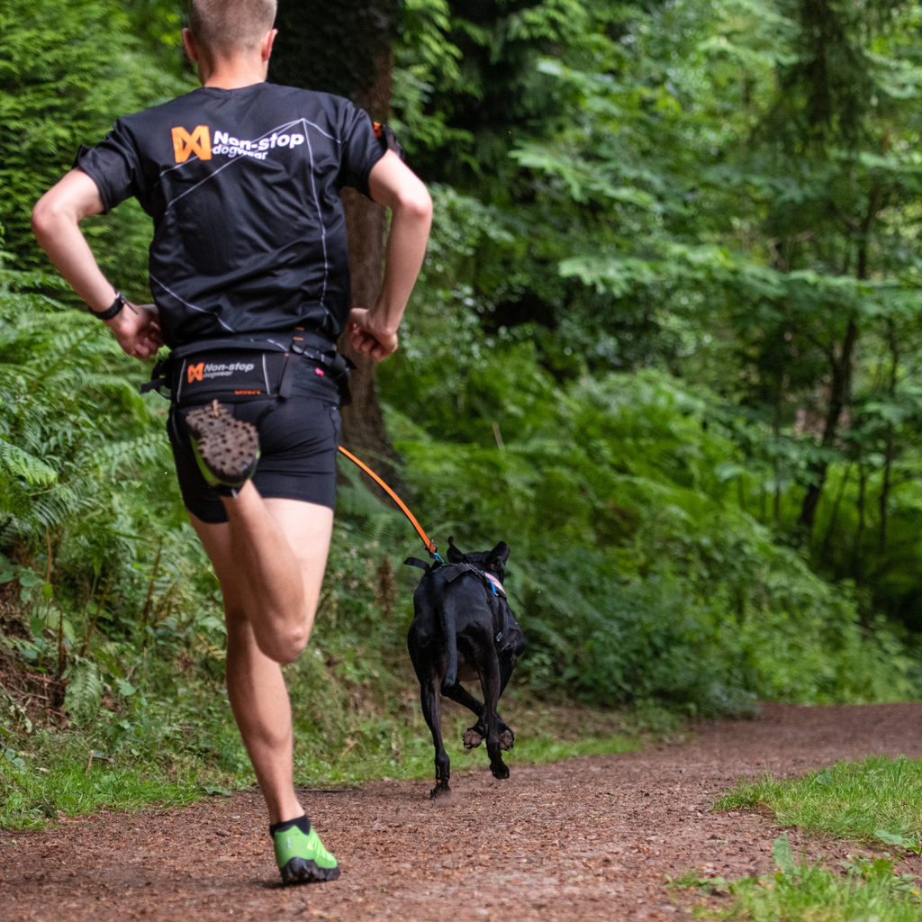 Non-stop Dogwear Bungee leash
