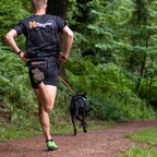 Non-stop Dogwear Bungee leash