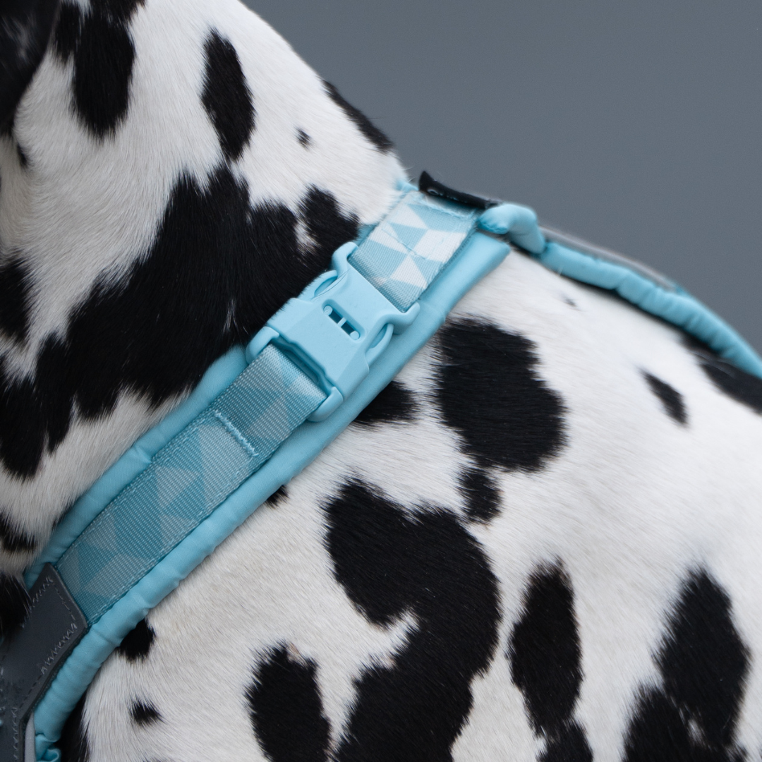 Non-Stop Dogwear Trekking Line Harness CLIP'N
