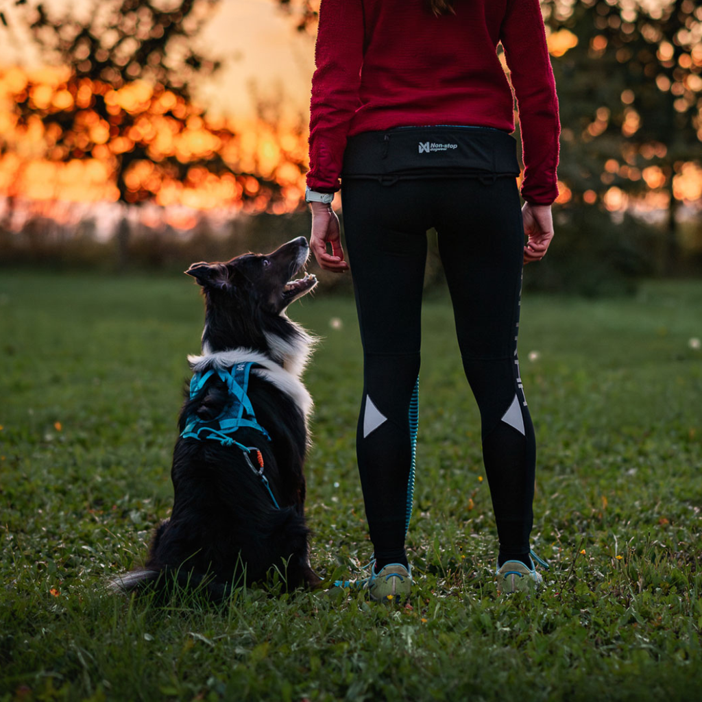 Non-Stop Dogwear Rush Harness