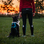 Non-Stop Dogwear Rush Harness