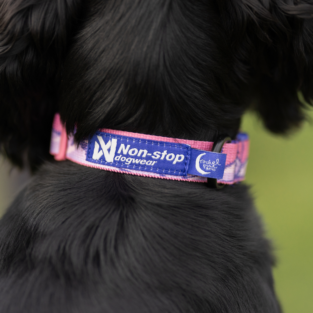 Non-Stop Dogwear Trail Quest Collar Rachel Pohl Edition