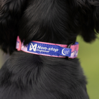 Non-Stop Dogwear Trail Quest Collar Rachel Pohl Edition