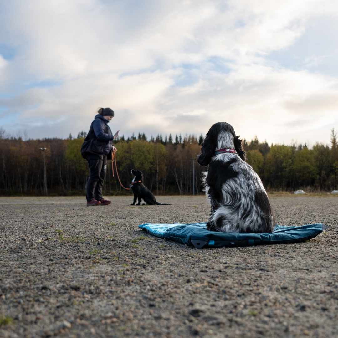 Non-Stop Dogwear Trekking Dog Bed