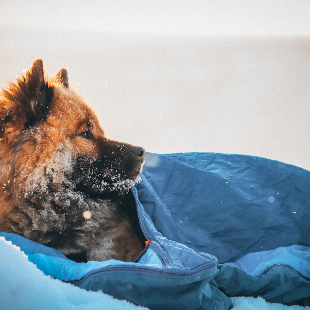 Non-Stop Dogwear Ly Sleeping Bag