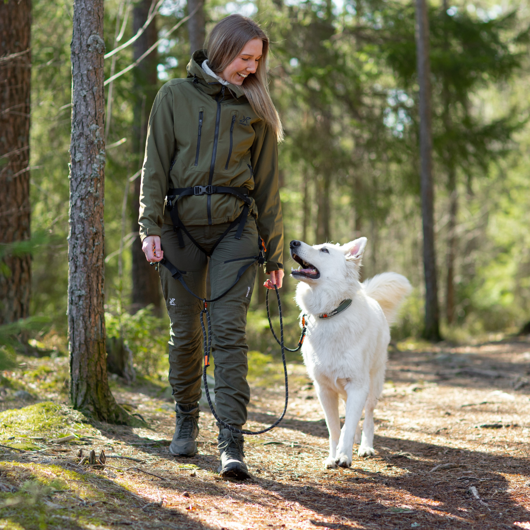 Non-Stop Dogwear Roam Collar