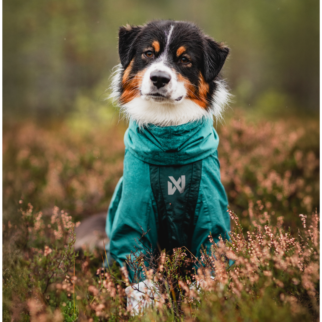 Non-Stop Dogwear Fjord Overall Regenjas