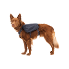 Ruffwear Front Range Mochila de Excursión