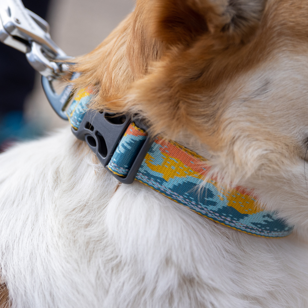 Ruffwear Collar Crag™ reflectante