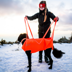 Non-Stop Dogwear Dog Rescue Sling