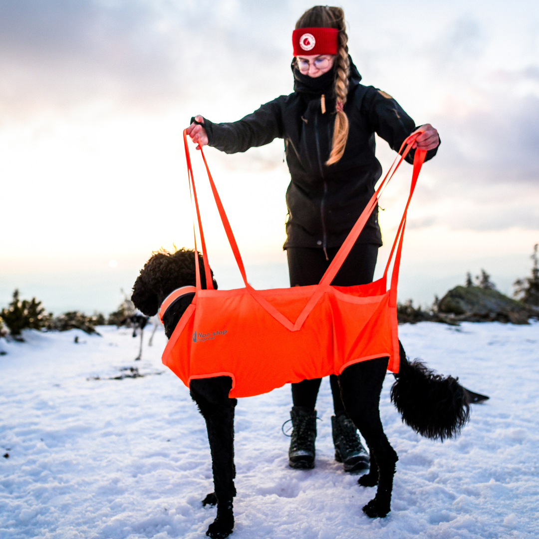 Non-Stop Dogwear Dog Rescue Sling