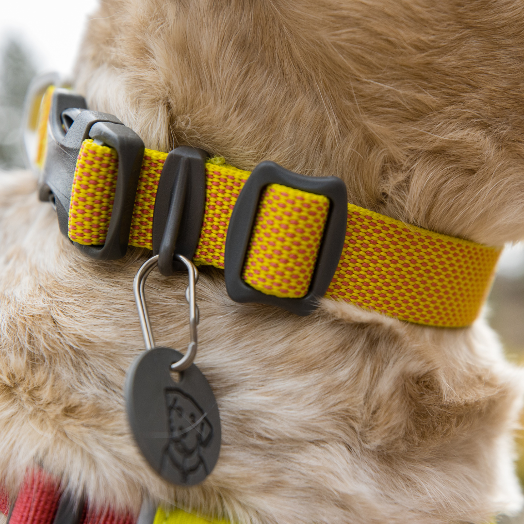 Collar Ruffwear Hi & Light