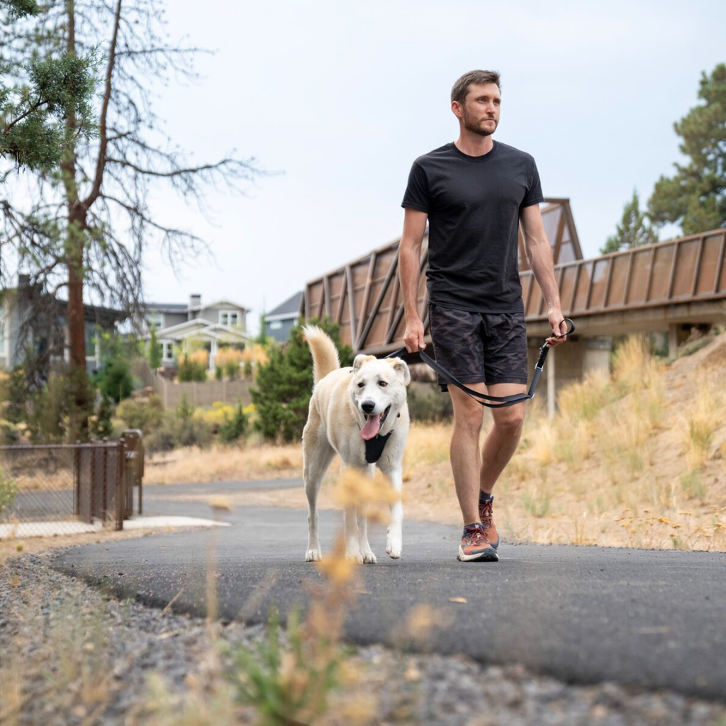 Ruffwear Switchbak Correa Multifunción