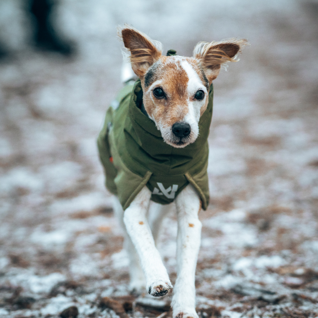 Non-Stop Dogwear Glacier Wool Jacket 3.0