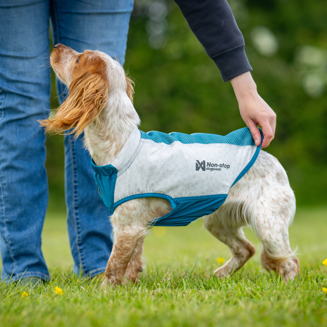 Non-Stop Dogwear Cooling Pull-on Vest