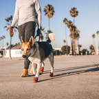 Ruffwear Botines Grip Trex™ (juego de 2)