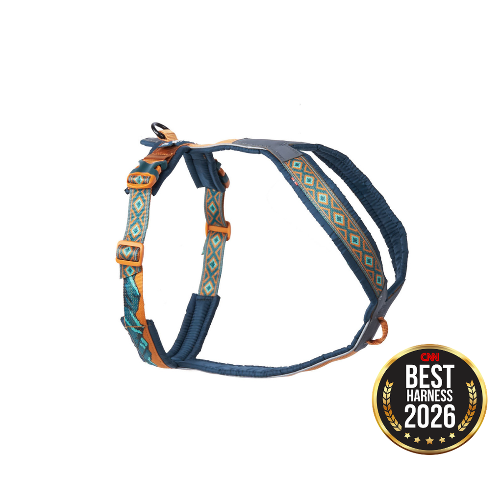Non-Stop Dogwear Line Harness 5.0
